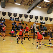 IMG-0211