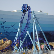 DSC07384