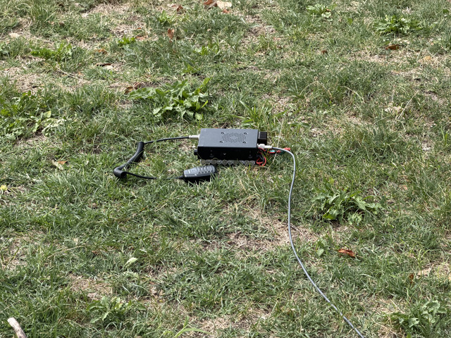 IMG 2994