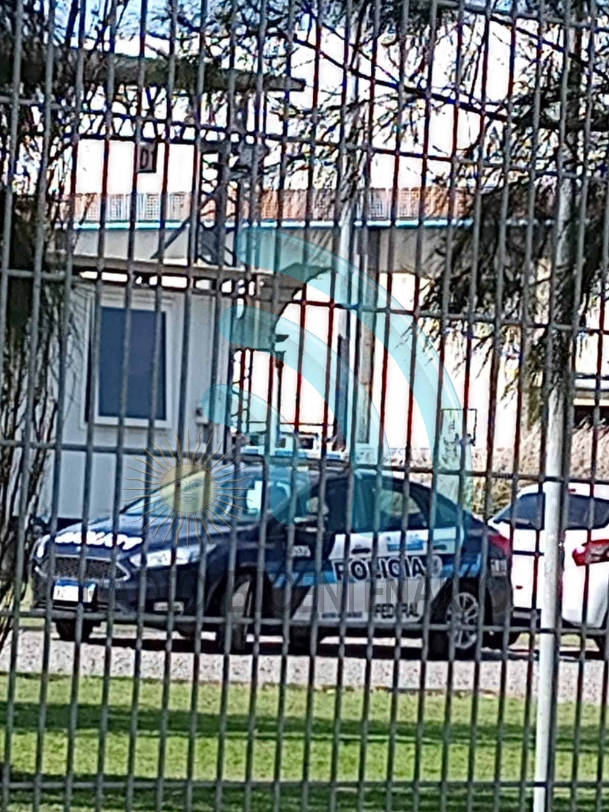 p2.jpg