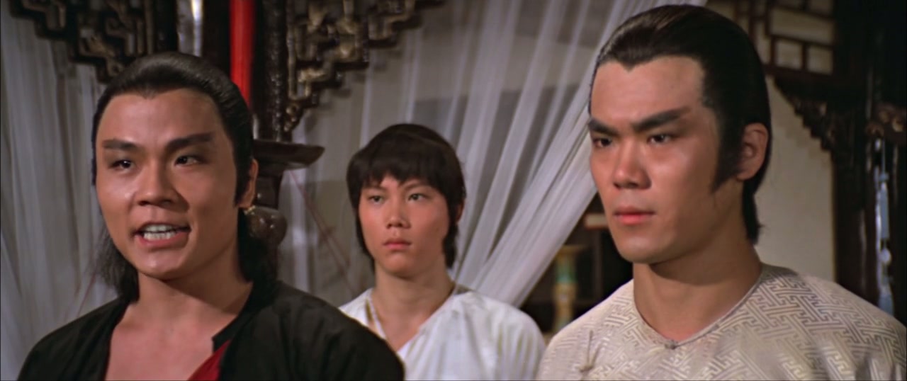 Invincible Shaolin Screenshot