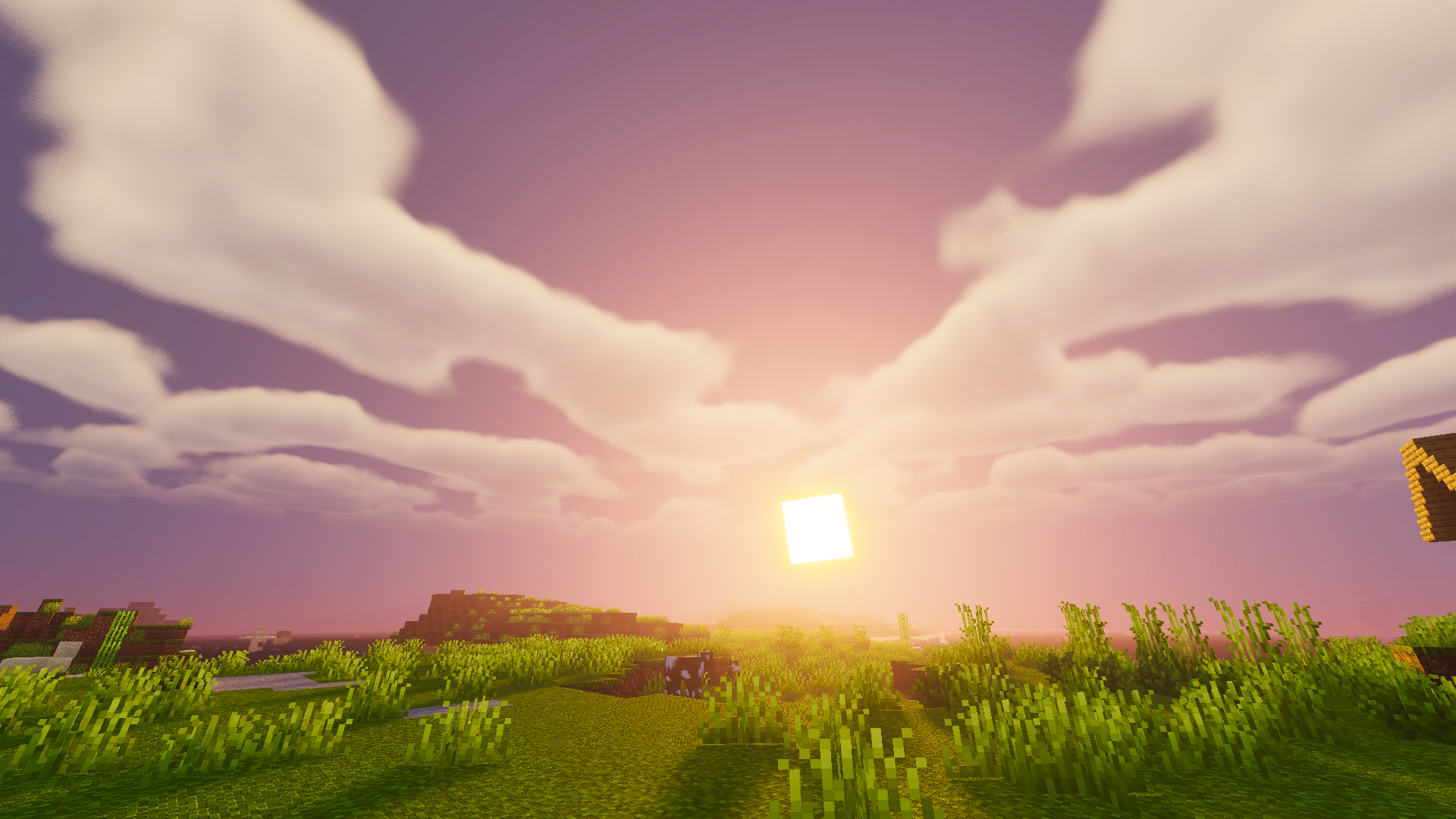 Sunrise Pink Clouds