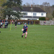 DSC 0695