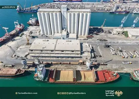 مشاريع إماراتية على أعتاب التنفيذ في سوريا