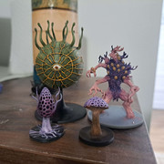 Fungi