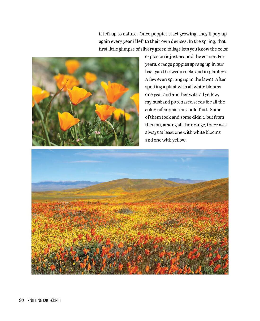 Page-00099