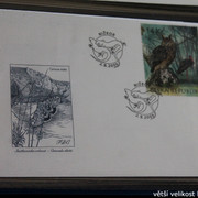 IMG-2719