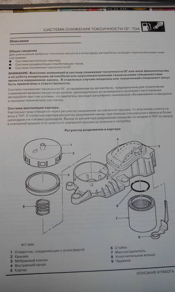 https://i.ibb.co/2Yh97wxy/P1b-XW.jpg