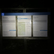 IMG 5661