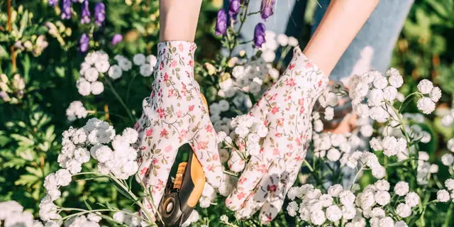 Memorial Day Gardening Bargains