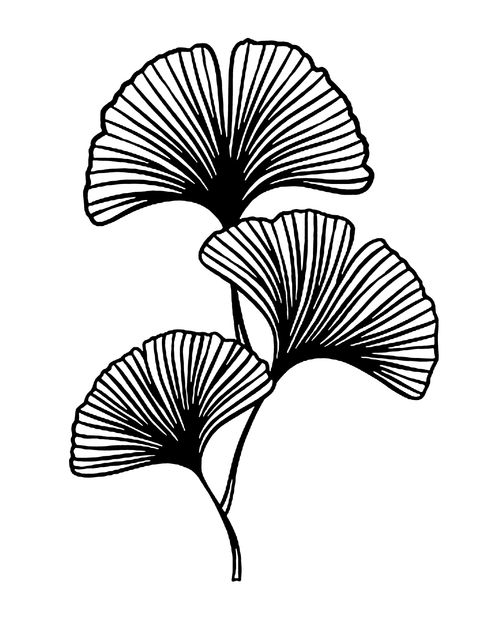 df52c1dfcfd678ccb50ebdd217b9652c.png