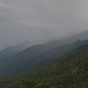 IMG 0443
