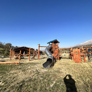 IMG 6247