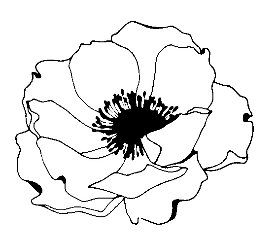 7e2c4928633c20aee57784c6fd9d626f.jpg