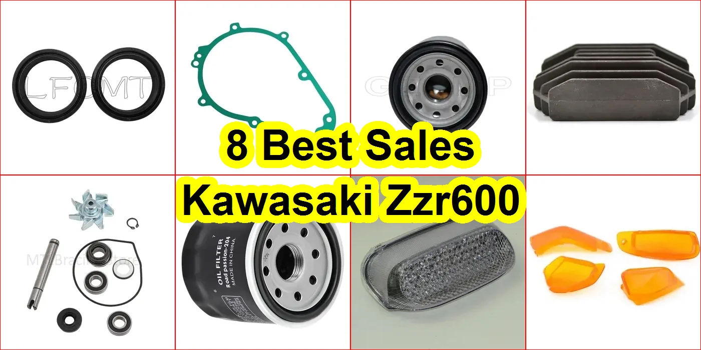 川崎 ZZR600 評價