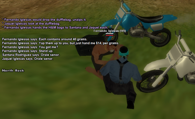 SSRoleplay2.png