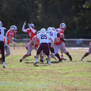 IMG-0556