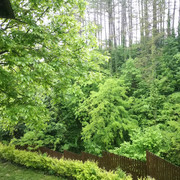 IMG-20230519-162425