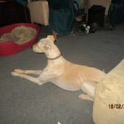 IMG-8173