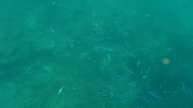 DSC03099