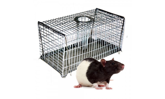multi-catch-mouse-trap-large