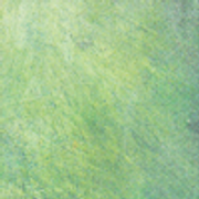 twbh-20