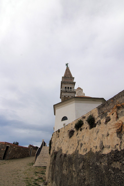 IMG-9804.jpg