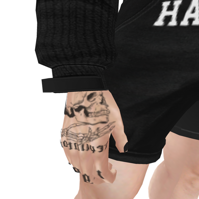 hi-Res-No-Bg459
