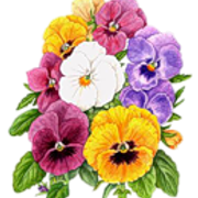 0-7a8df-b6b97d44-S