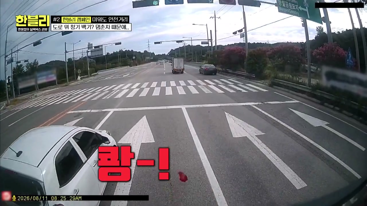 한블리 교차로 급제동사고 추가 캡처 2