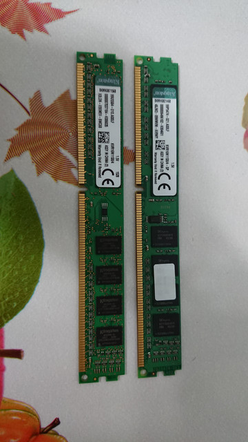 DSC 0102