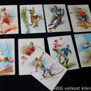 IMG-5558