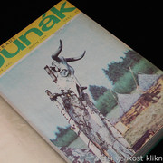 IMG-2412