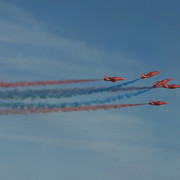 IMG 0518