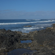 DSCF8398