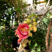 IMG-1918