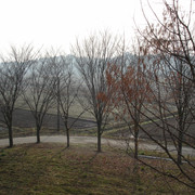 2009-03-17-065