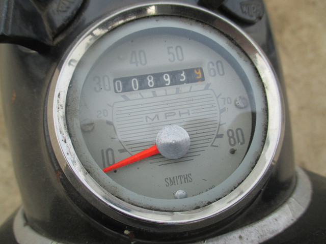 IMG-4372.jpg