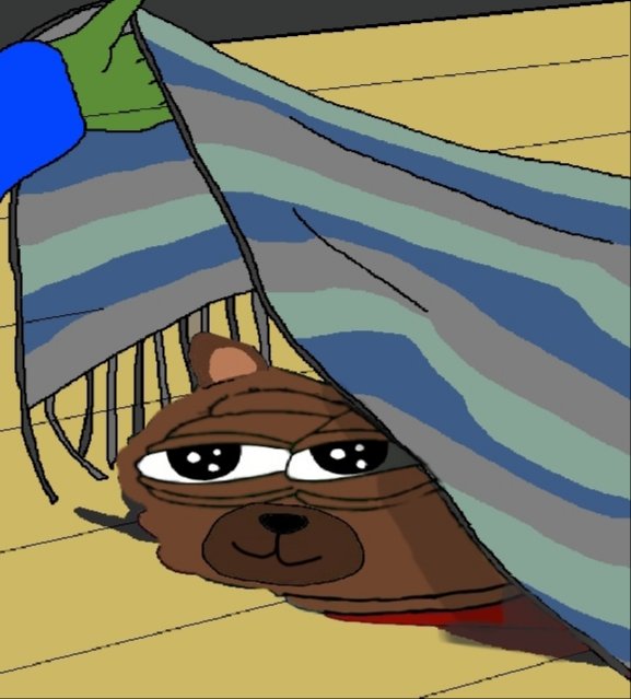 hidden-bear.jpg