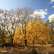 100c0100213m