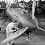 P-40-plant