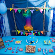 DSC6096