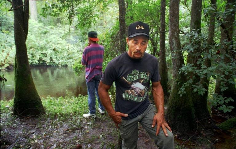Gum-swamp.jpg