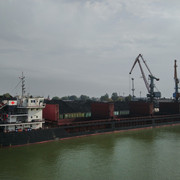 DSC-8873
