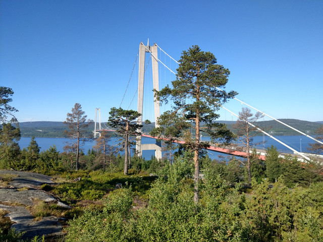 IMAG0483.jpg