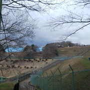 DSC-0103