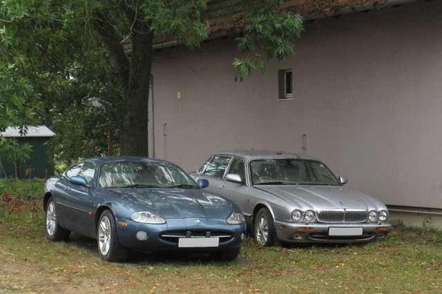 IMG-1787