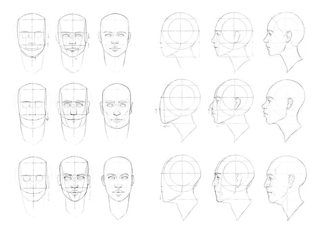 Loomis-method-front-and-profile-full
