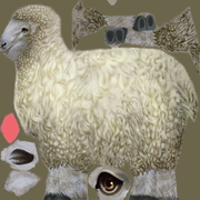 Sheep_Adult_F.dds