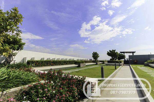 IMG-0836.jpg